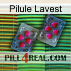 Lavest Pill 15